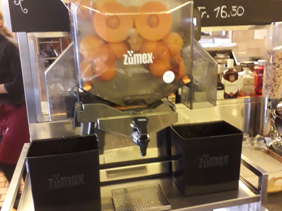 伯尔尼国家饭店主图
