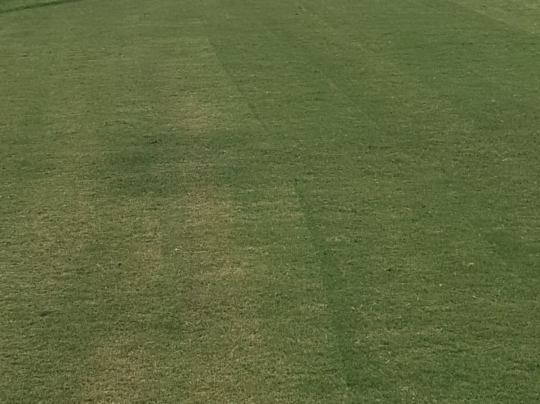 Carolina National Golf Club-Bolivia必去景点