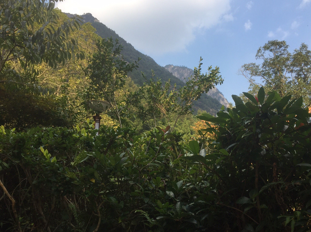 黄山温泉景点图片