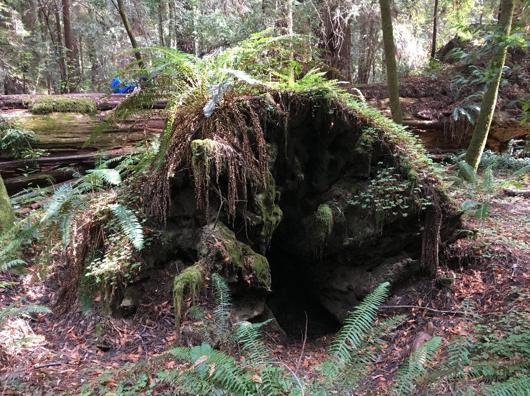 Hendy Woods State Park景点图片