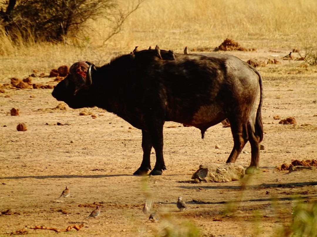 Kruger Gate Guest House主图