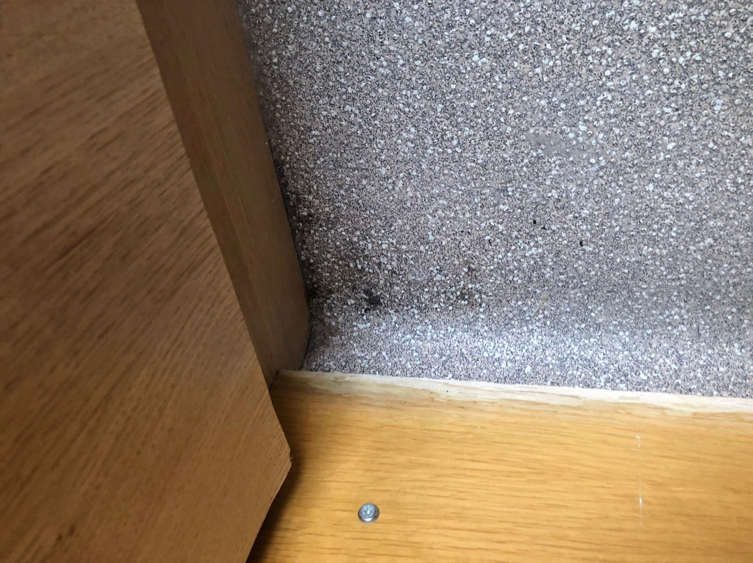 The Groves Hotel主图