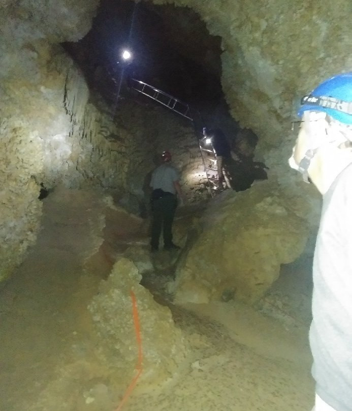 Lower Cave Tour-卡尔斯巴德洞穴国家公园必去景点