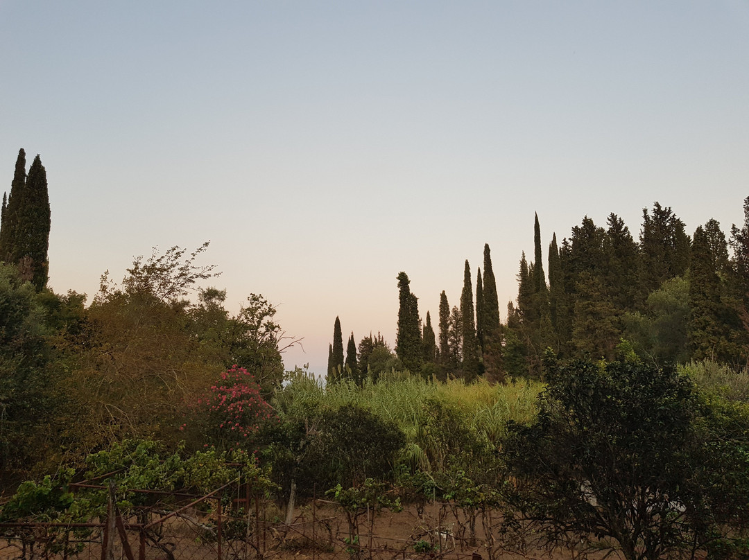 Le Mirage Hotel主图