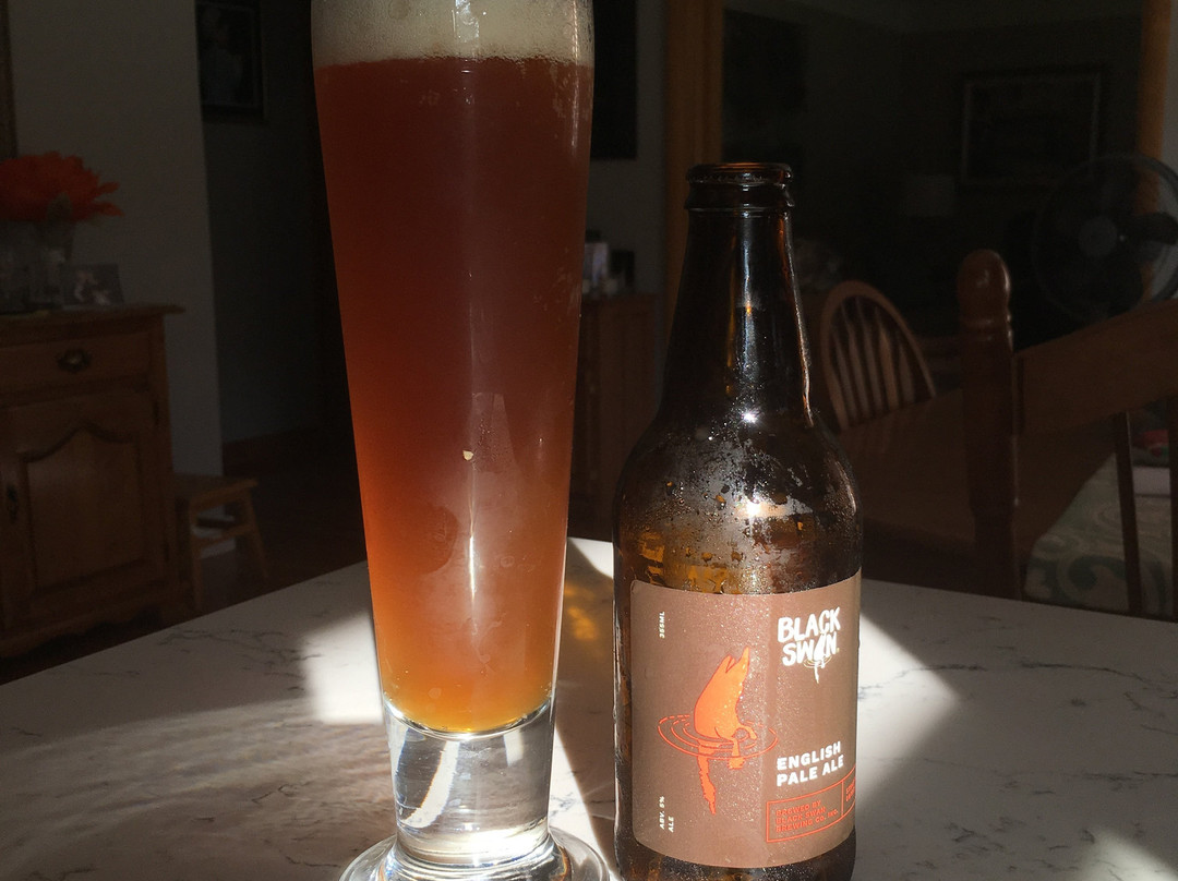Black Swan Brewing景点图片