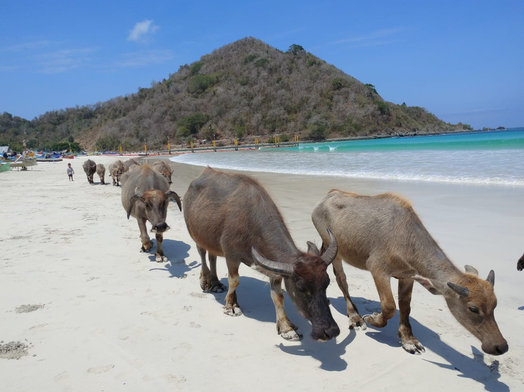 Bambus Tours-Kuta必去景点