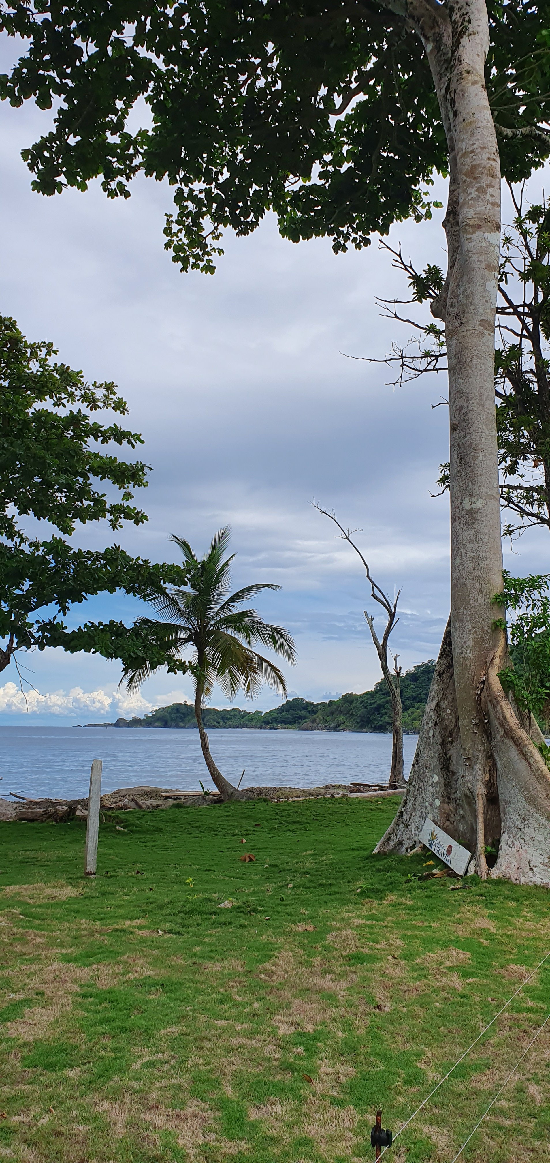 Cabana Pura Vida-官方