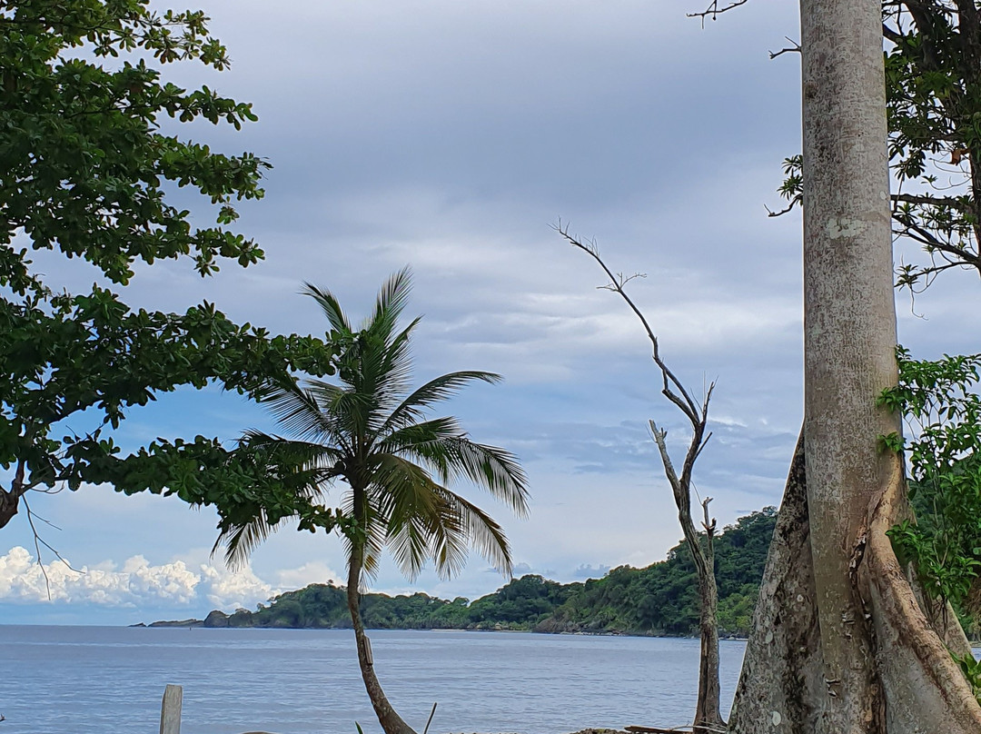 Puerto Obaldia旅游攻略图片