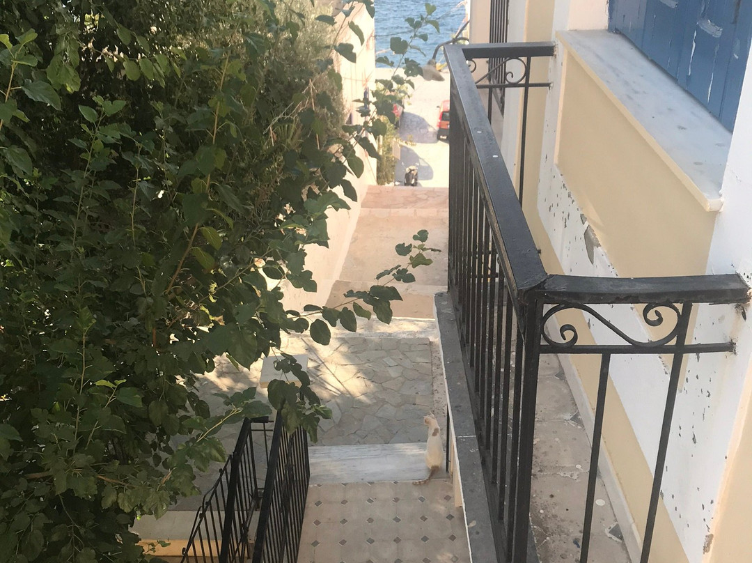 Anastasia Hotel主图