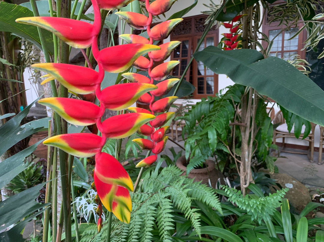 GG House - Happy Valley主图