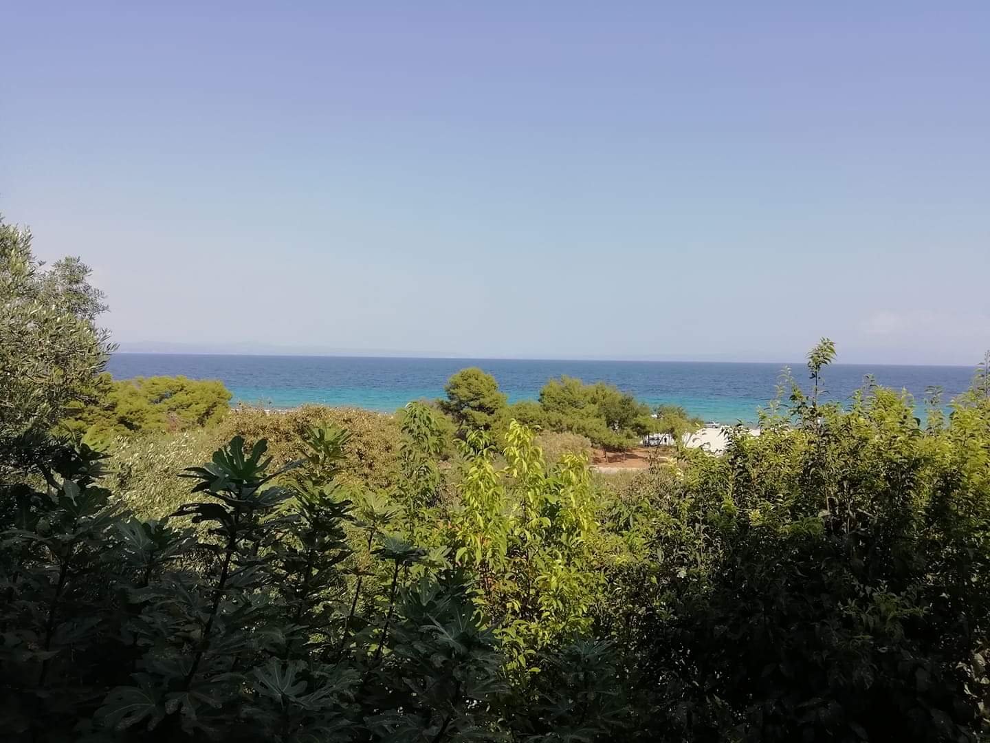 The Beach House-官方