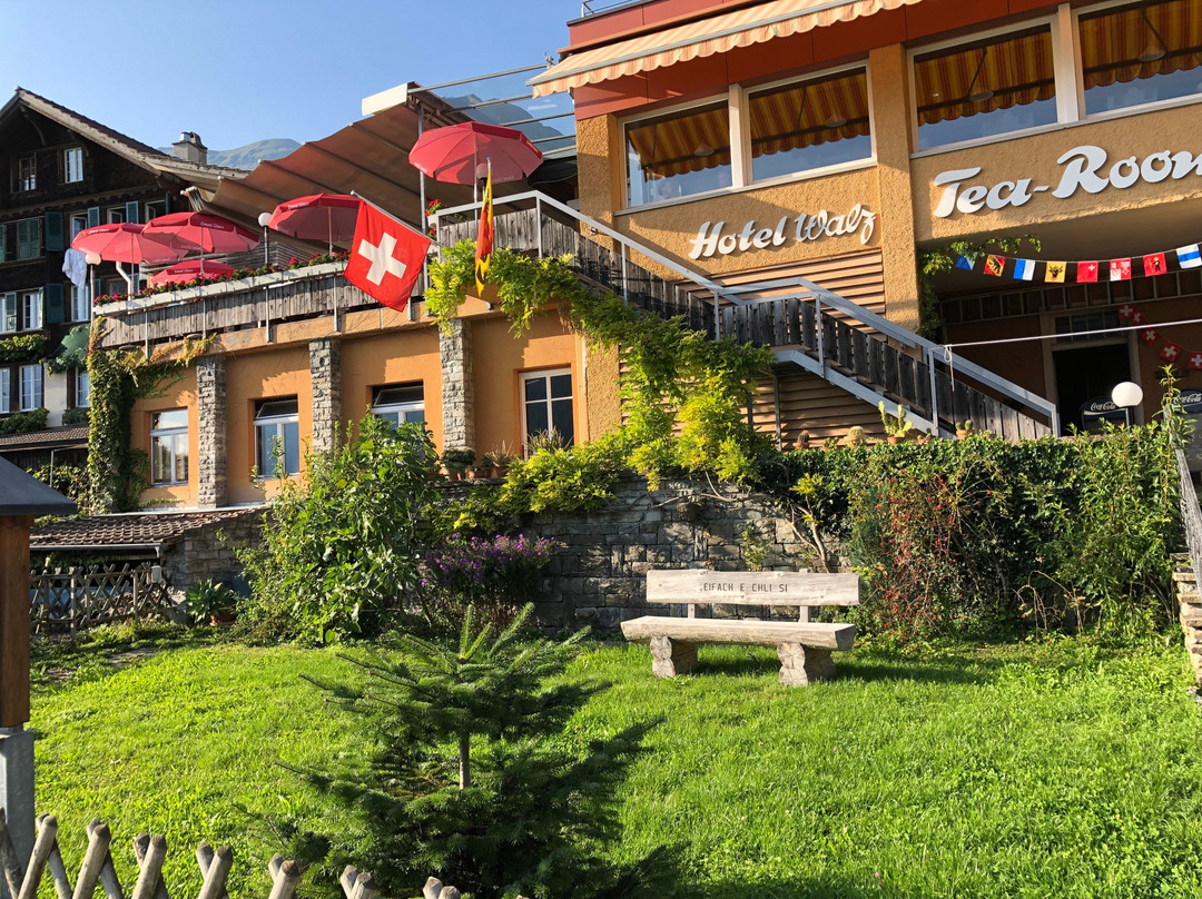 Tea Room Restaurant Hotel Walz主图