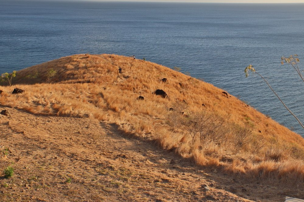 Point de Vue de l'Anse Marigot景点图片