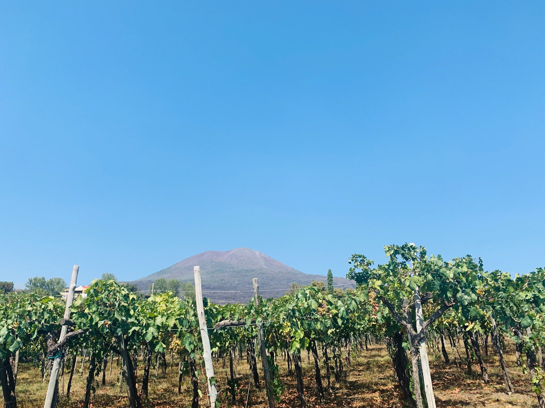 Enjoy Sorrento Limo-马萨卢布伦塞必去景点