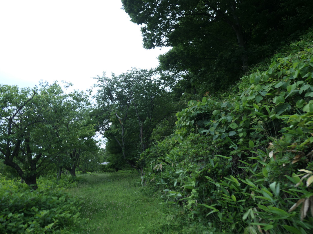 Mahoroba Inishie no Sato Rekishi Park景点图片