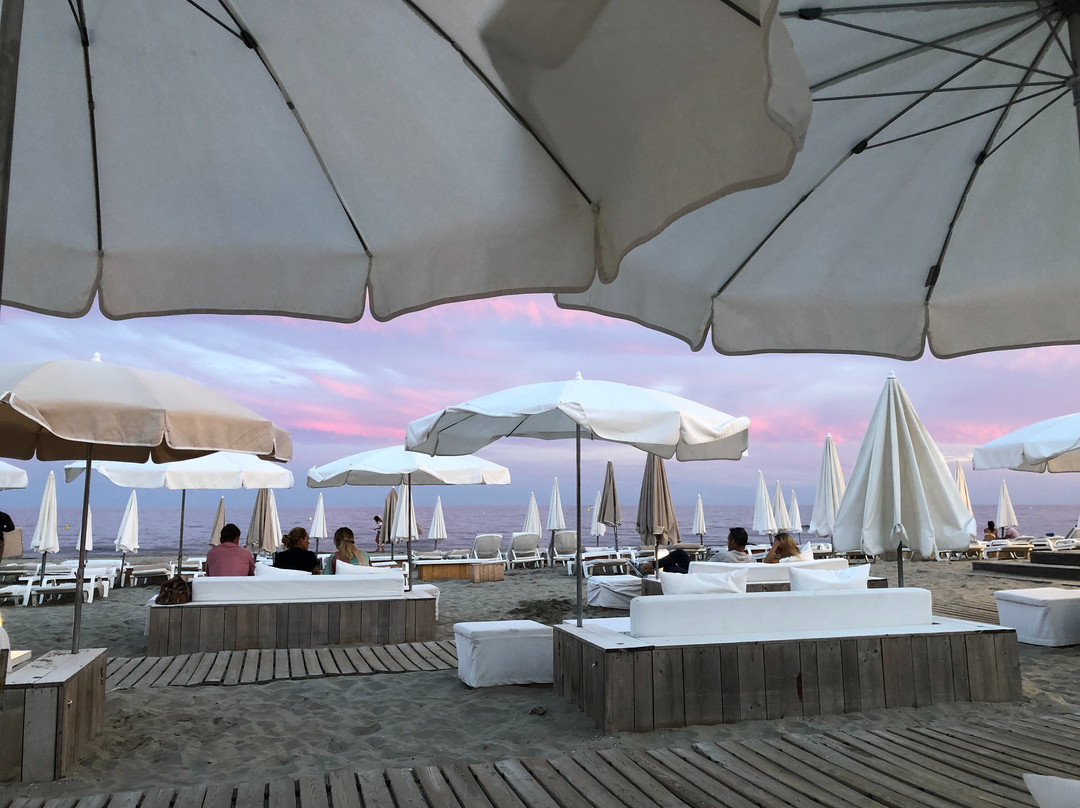 Plage Palace主图