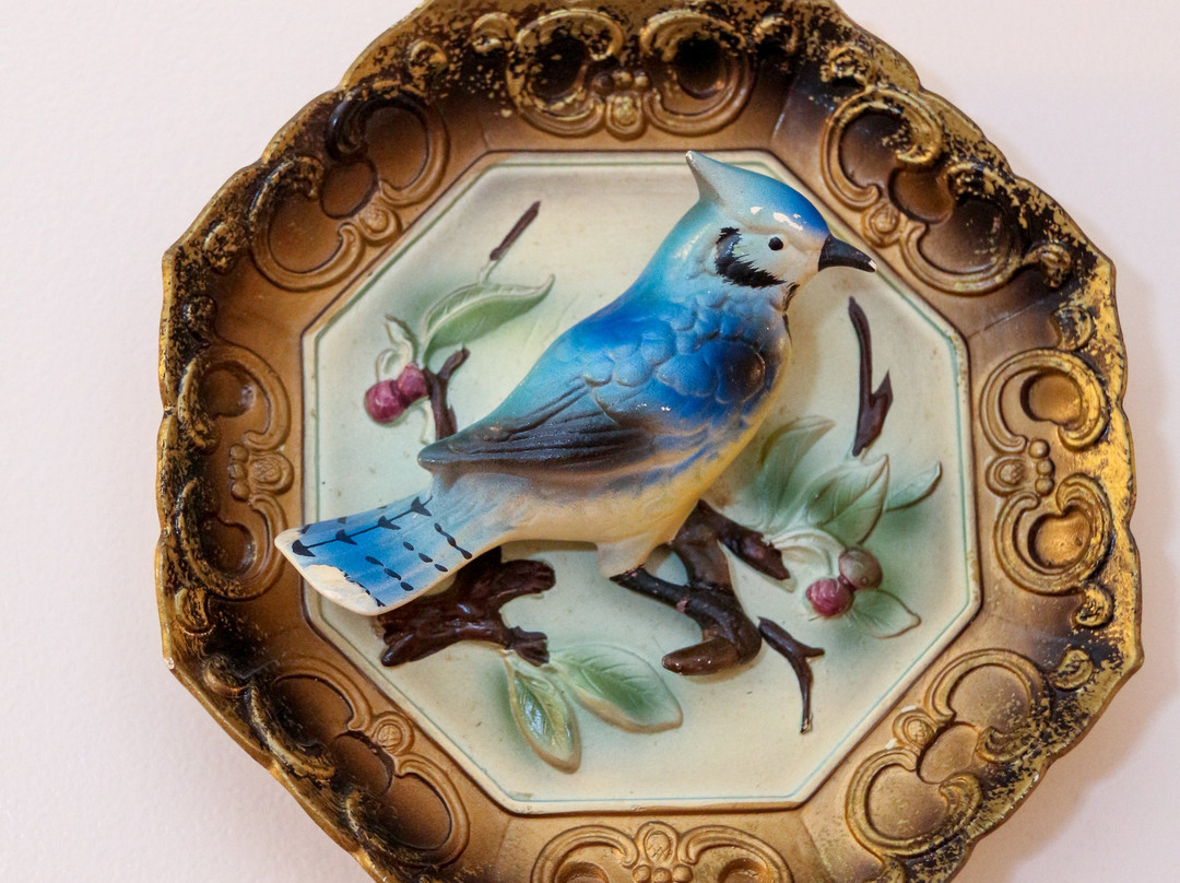 Cedar Drive Inn主图