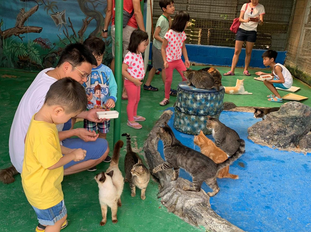 Sinar Eco Resort主图