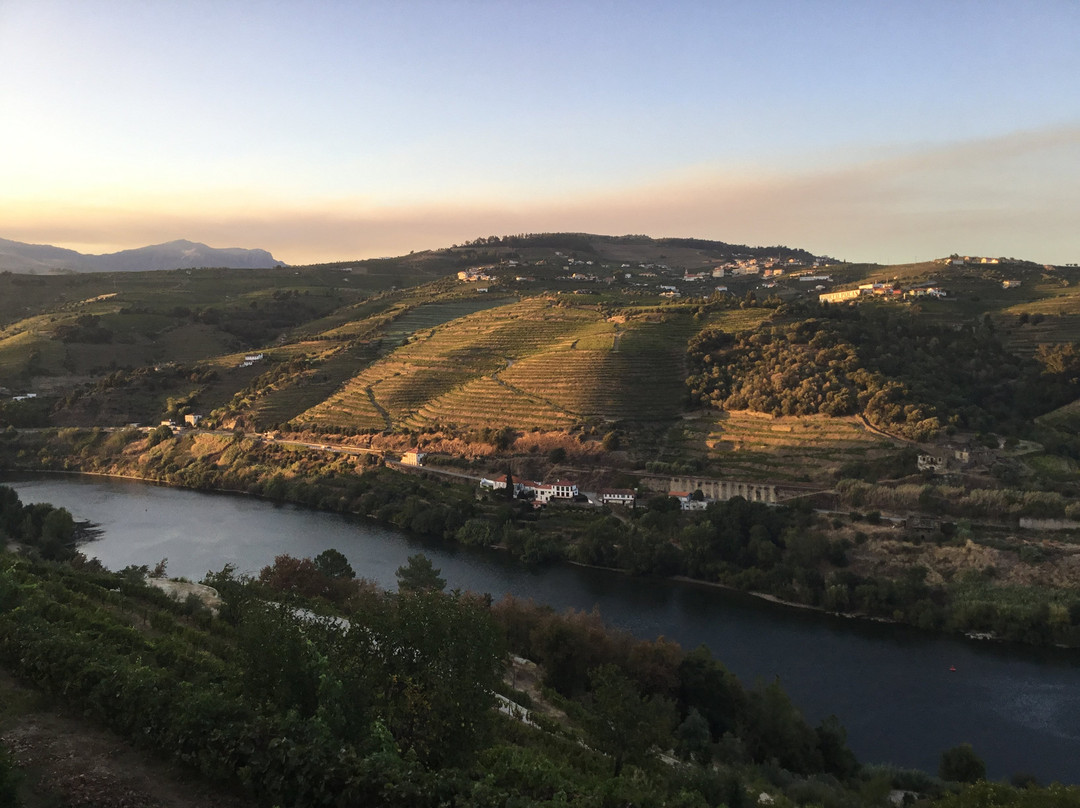 Delfim Douro Hotel主图