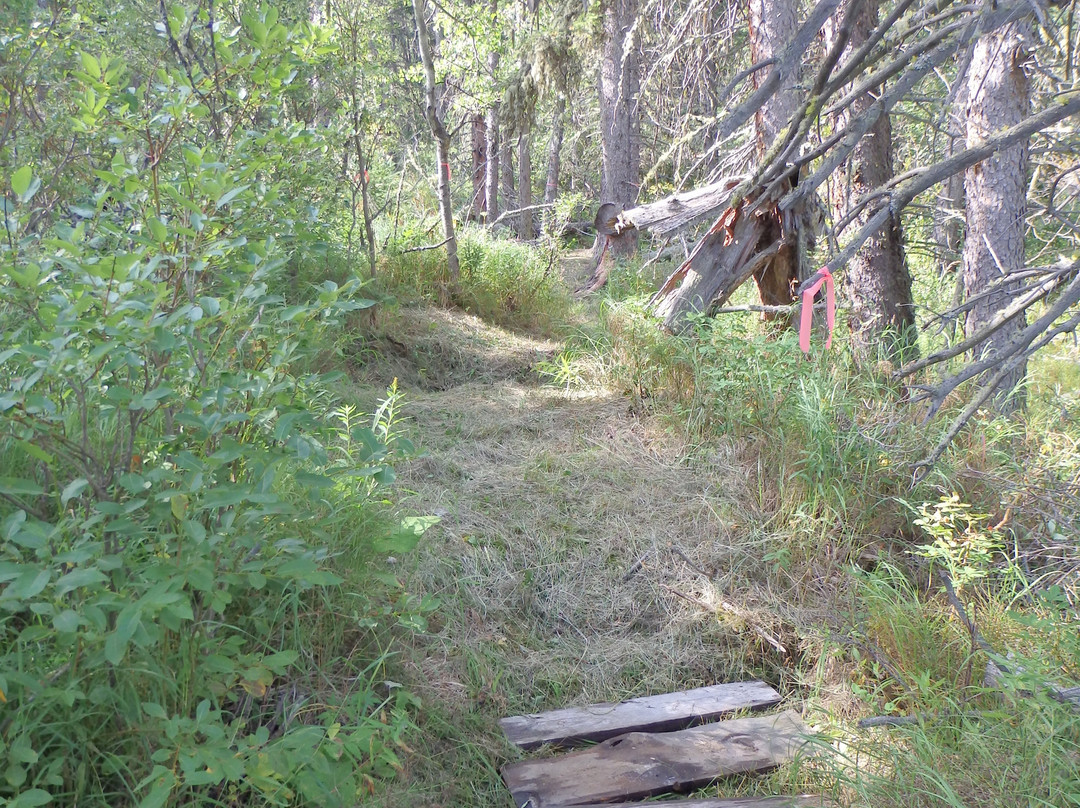 Aspen Grove Bed & Breakfast主图