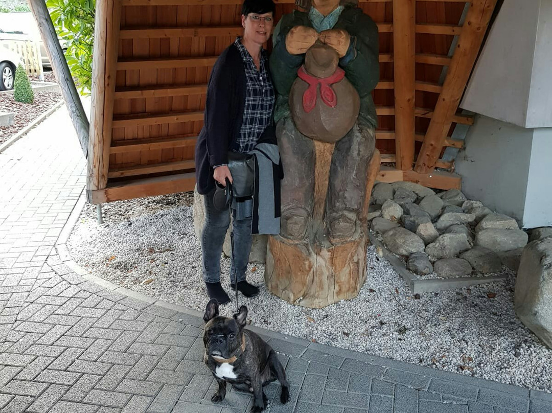 Solehotel Tannenhof主图