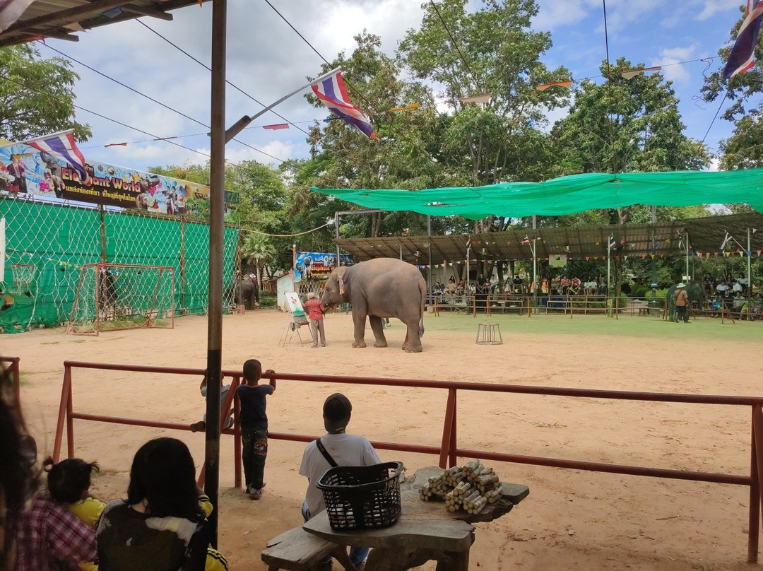 Elephant Study Center Surin景点图片