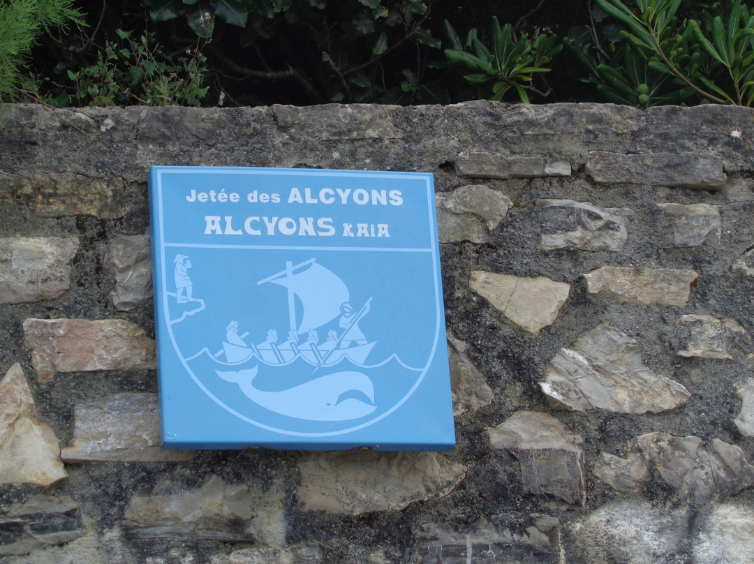 Plage des Alcyons景点图片