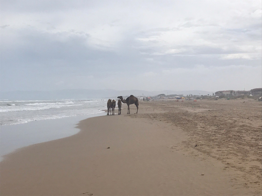 Marina Saïdia-萨伊迪耶必去景点