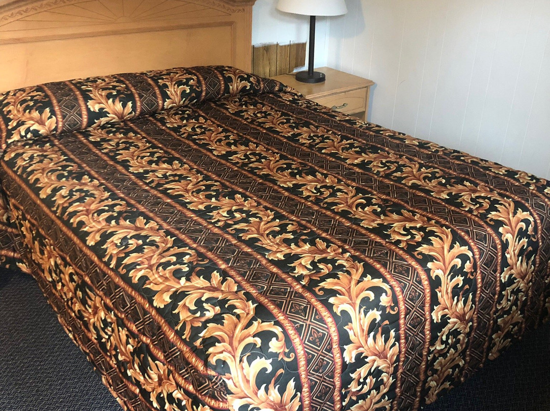 Evening Star Motel主图