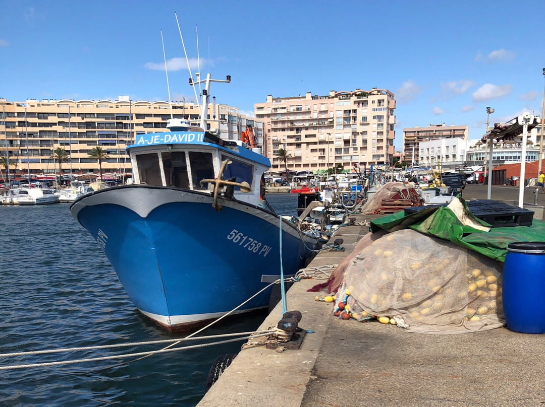 Le Golf de Saint Cyprien景点图片
