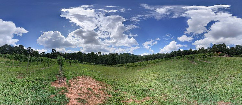 Sharp Mountain Vineyards-Jasper必去景点