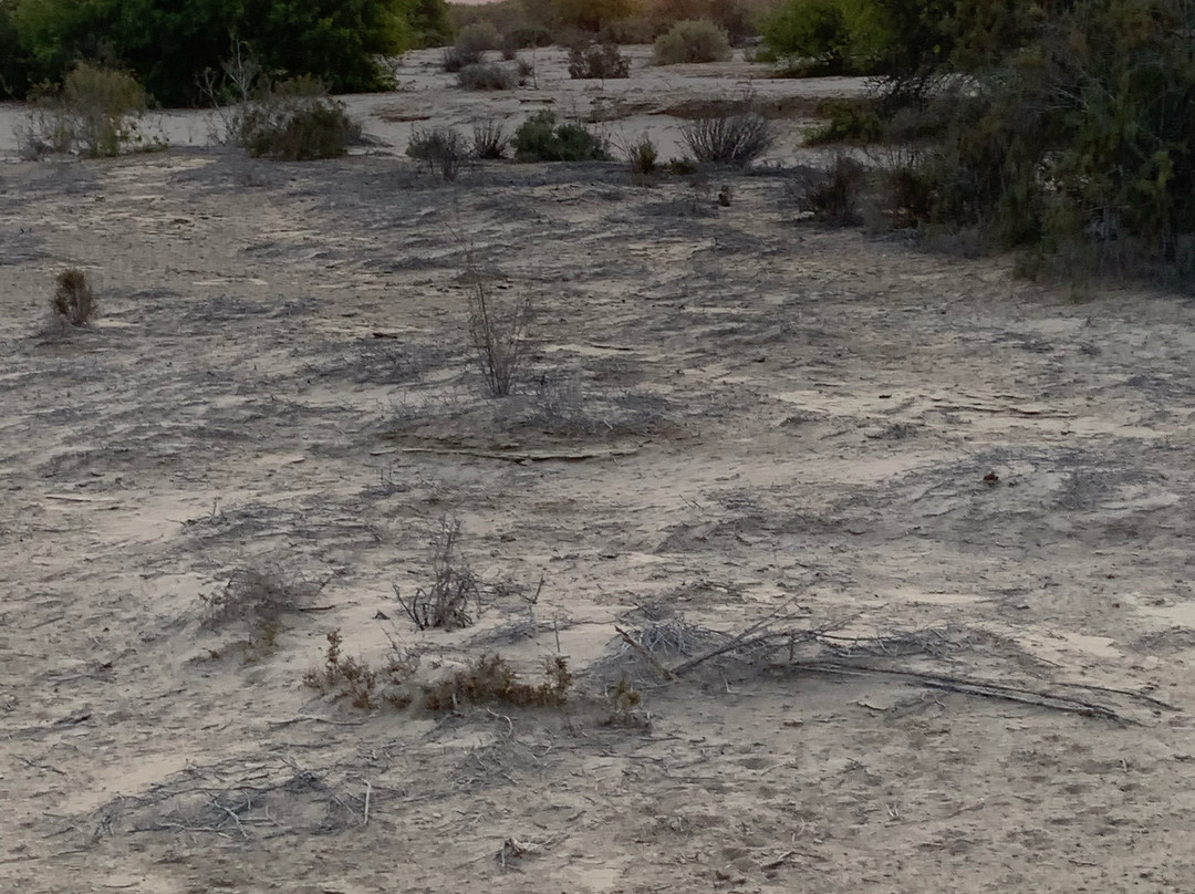 Okakambe Trails-斯瓦科普蒙德必去景点