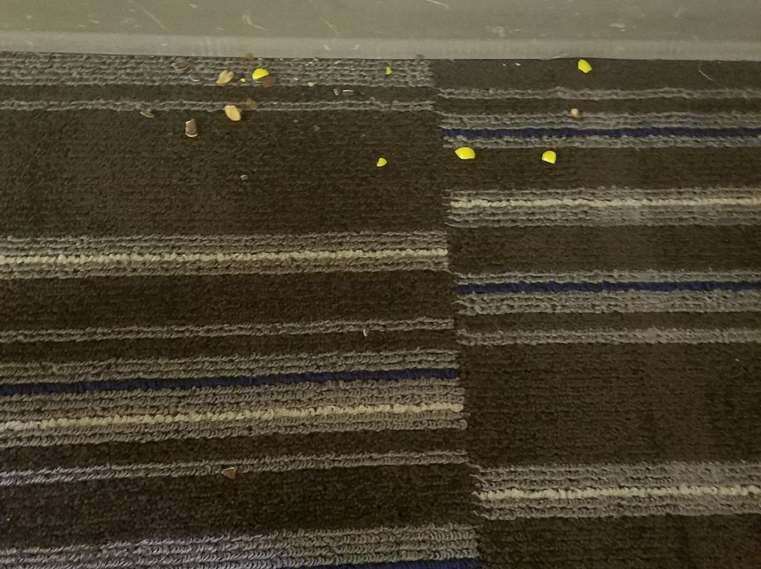 Microtel Inn by Wyndham Champaign主图