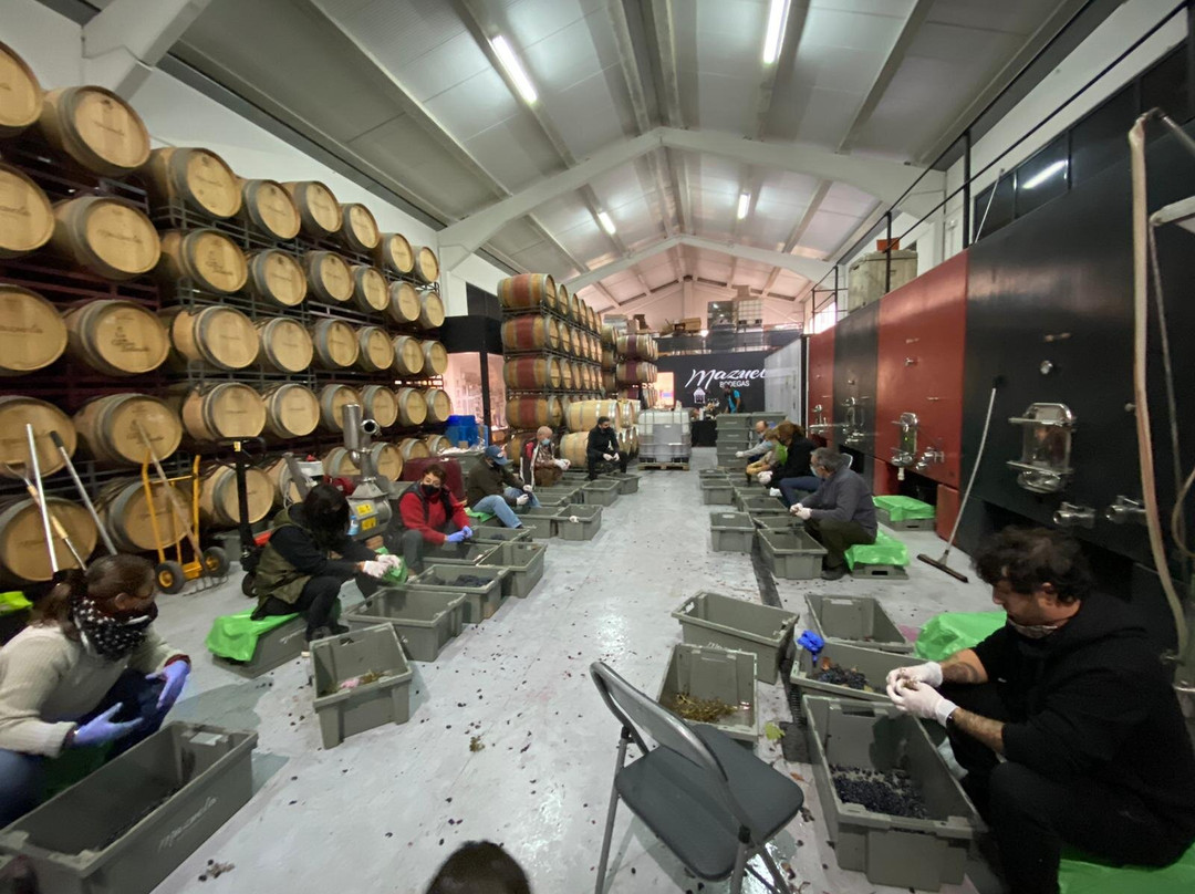 Bodegas Mazuela