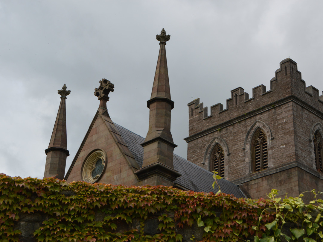 St. Patrick's Cathedral (Church of Ireland)景点图片