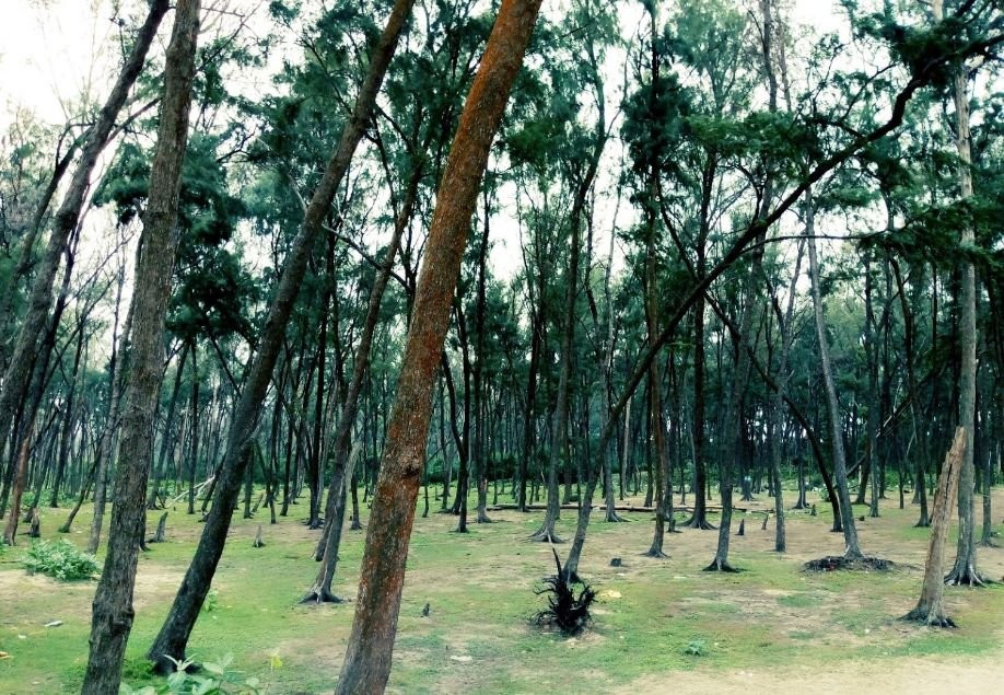 Taj Villa Resort主图