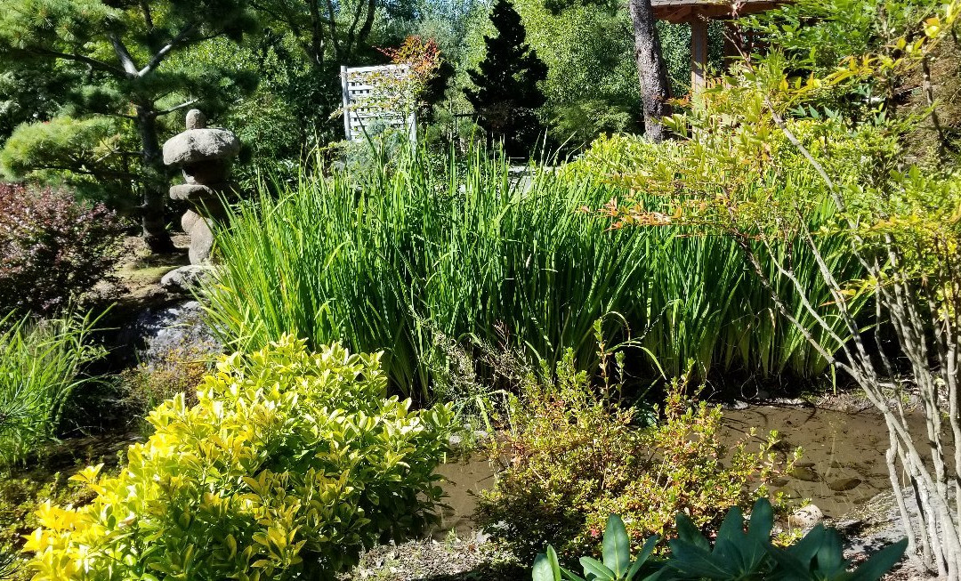 Gresham Japanese Garden-格雷舍姆必去景点