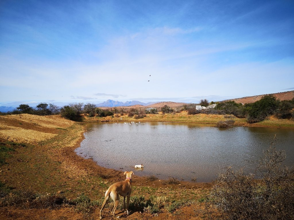 Dorschfontein Guest Farm主图