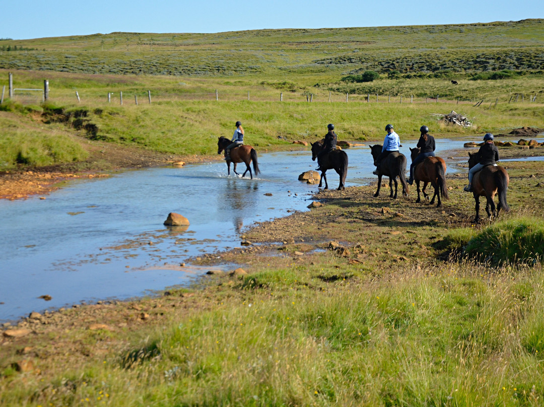 Hestheimar Riding Tours-海拉必去景点