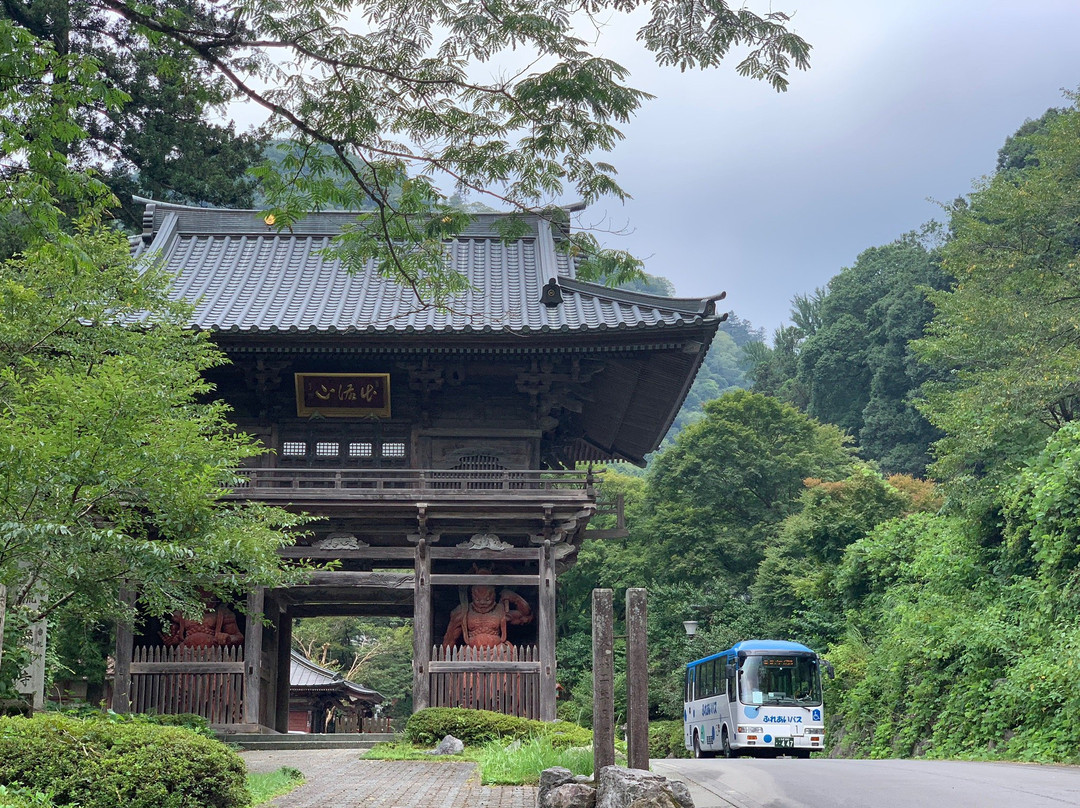 Izurusan Manganji Temple-栃木市必去景点