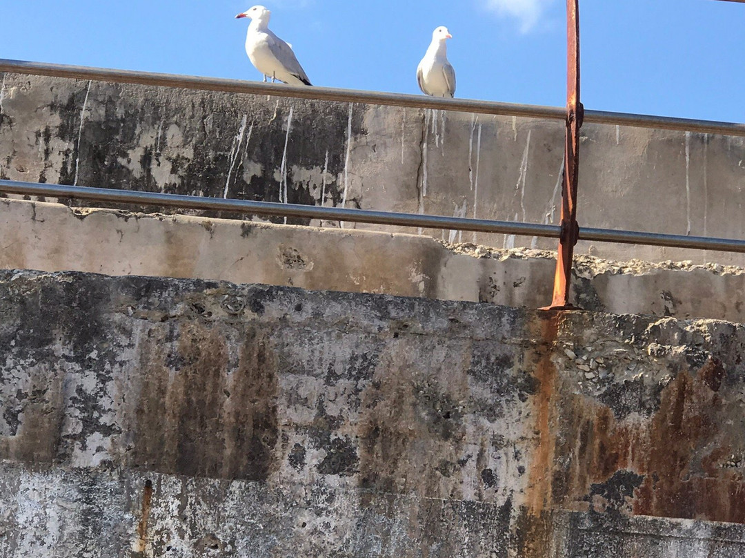 Cruceros Cormoran-圣庞沙必去景点