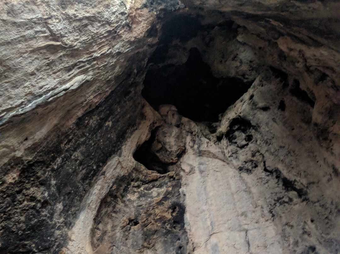 Cueva del Parpallo-甘迪亚必去景点