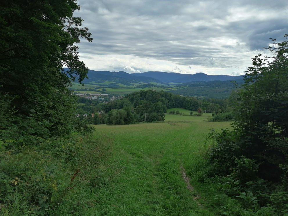 Priessnitz Spa Resort景点图片
