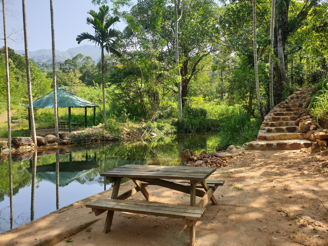 Nature Hub Koslanda主图