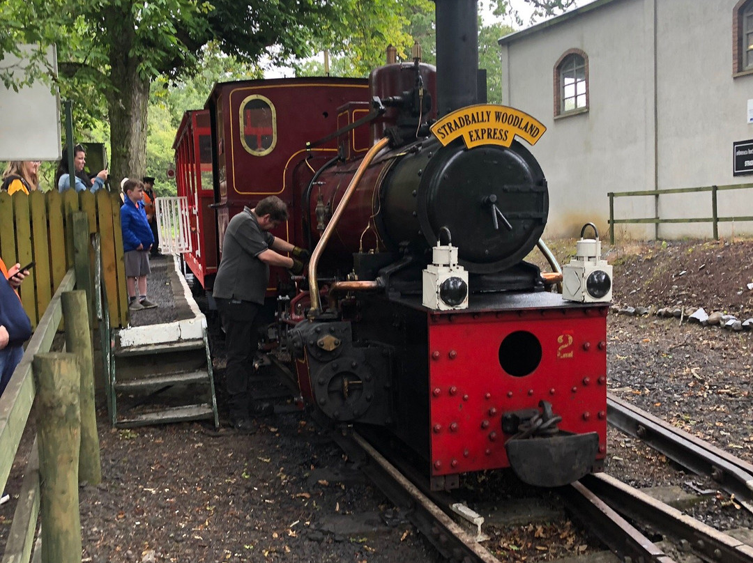 Stradbally Woodland Railway景点图片