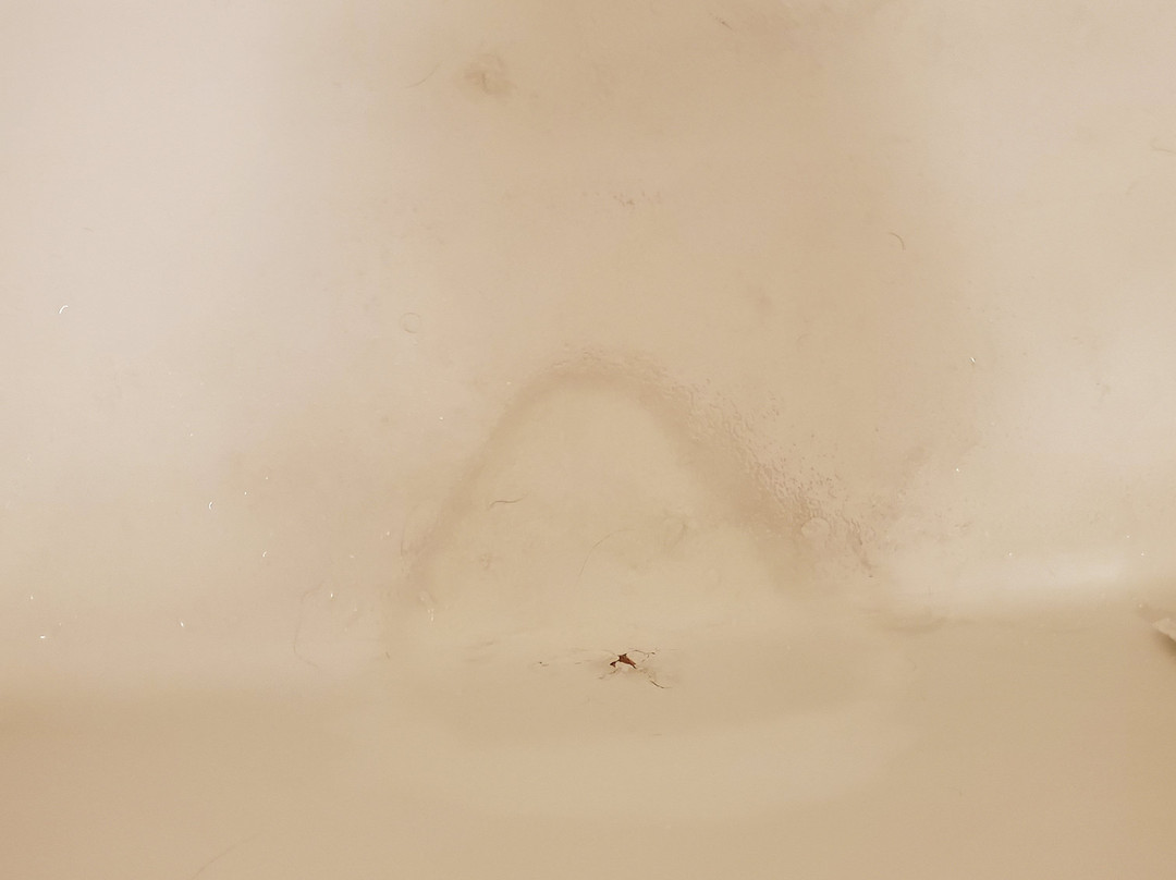 Super 8 by Wyndham Dillon主图