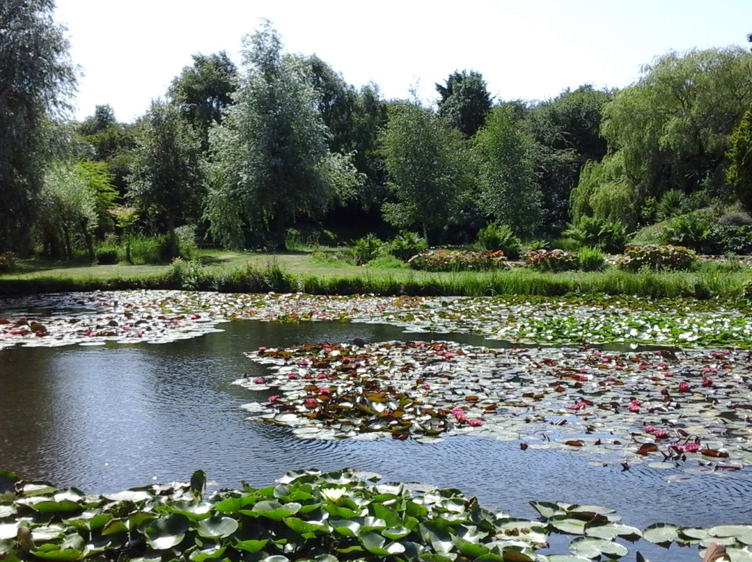 Bennetts Water Gardens景点图片