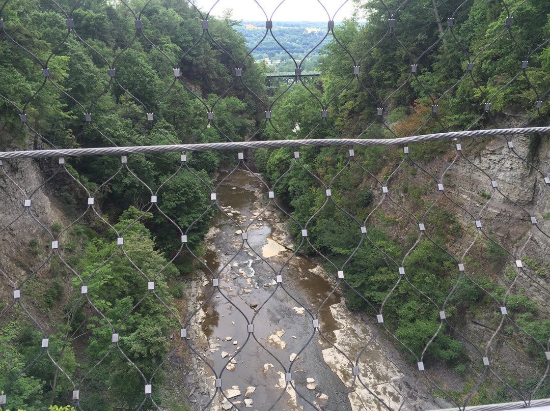 Fall Creek Suspension Bridge景点图片
