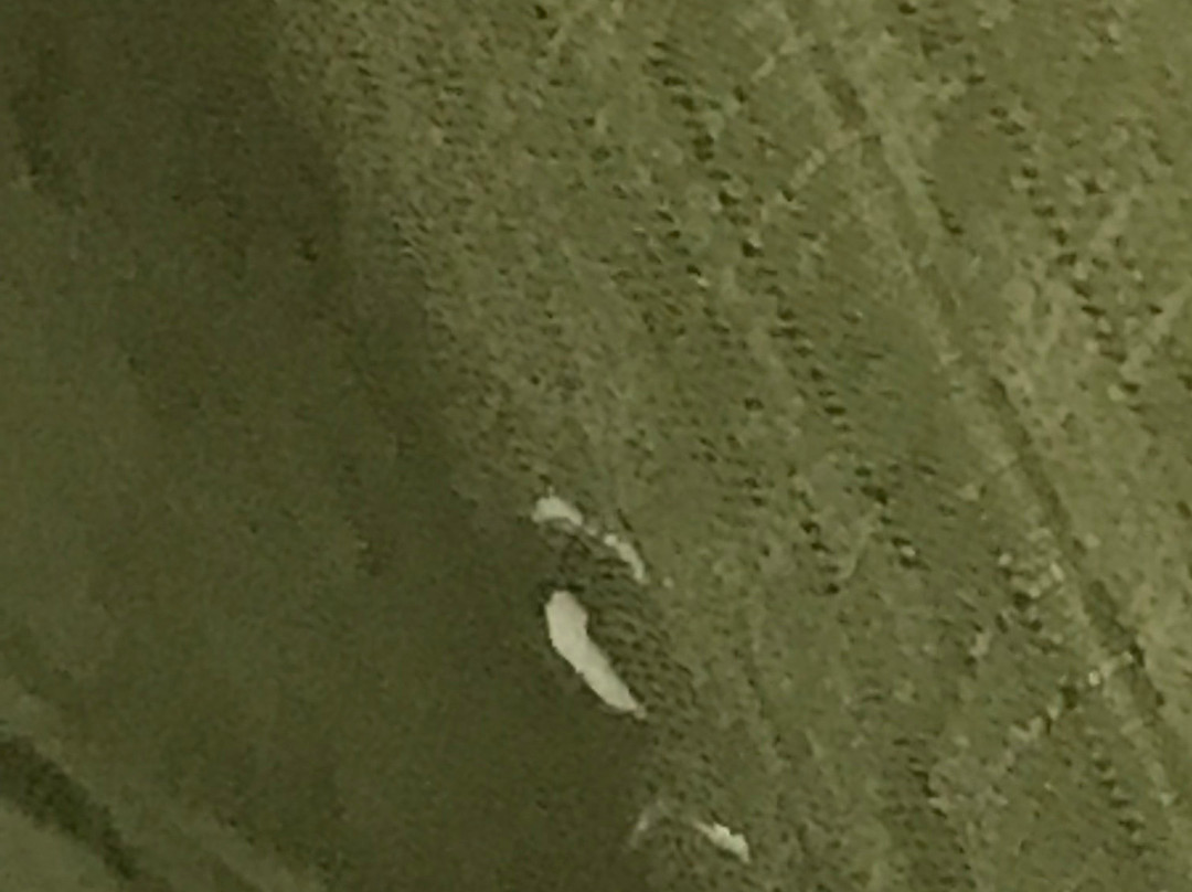 底特律诺维果园山美国长住酒店主图