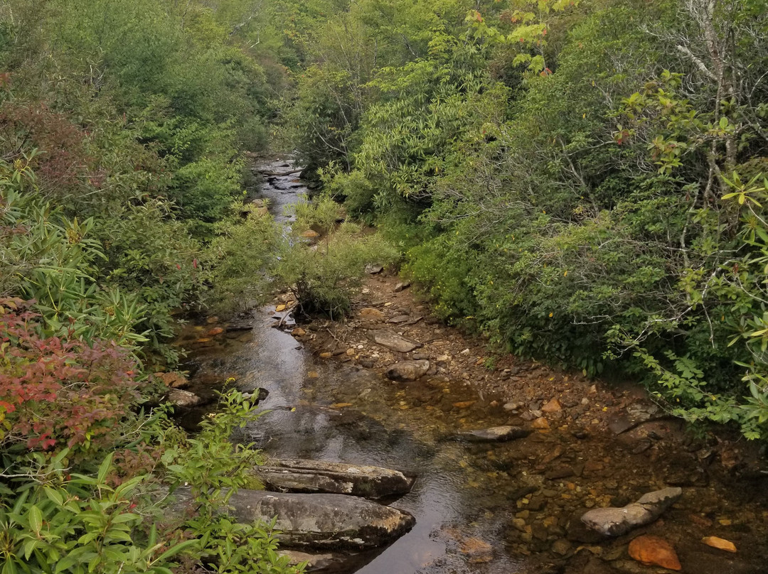 Graveyard Fields Hike & Waterfalls-Canton必去景点